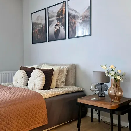 Elite 7a Jeżyce - Barańczaka Apartament