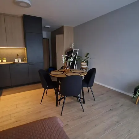 Apartament Elite 7a Jeżyce - Barańczaka *
