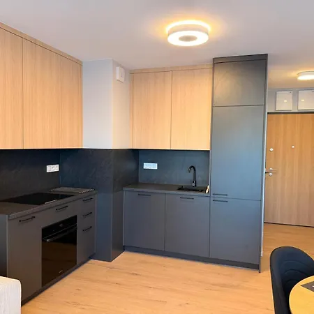 Elite 7a Jeżyce - Barańczaka Apartament Poznań