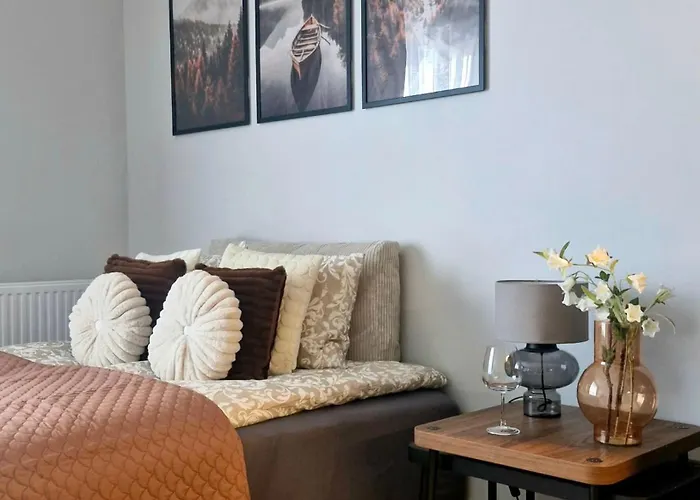 Elite 7a Jeżyce - Barańczaka Apartament