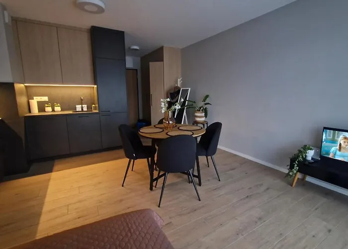 Apartament Elite 7a Jeżyce - Barańczaka *