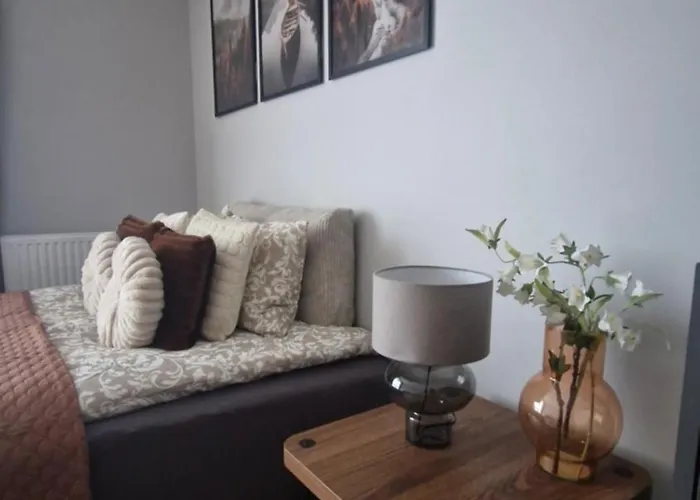 Elite 7a Jeżyce - Barańczaka Apartament