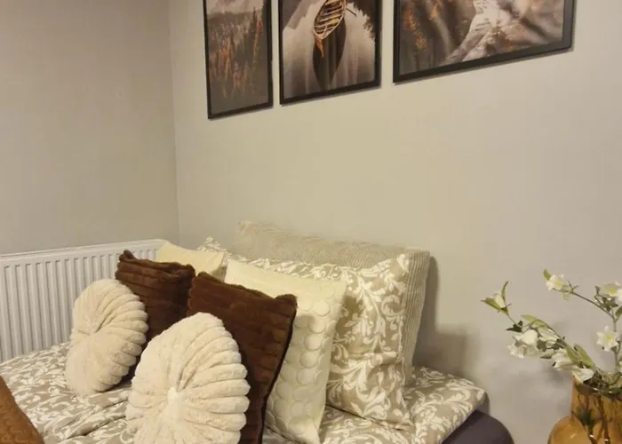 Elite 7a Jeżyce - Barańczaka Apartament Poznań