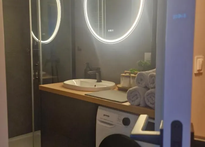 Apartament Elite 7a Jeżyce - Barańczaka *