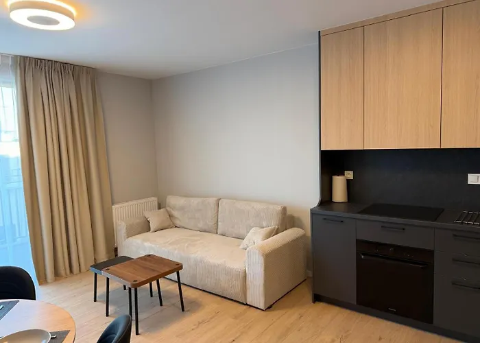 Elite 7a Jeżyce - Barańczaka Apartament