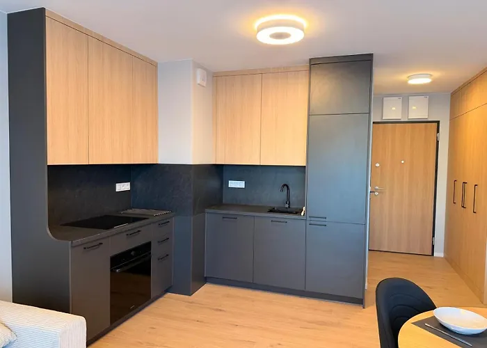 Elite 7a Jeżyce - Barańczaka Apartament Poznań